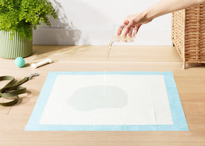Puppy Pee Pads 100-Pack, 22"x22"