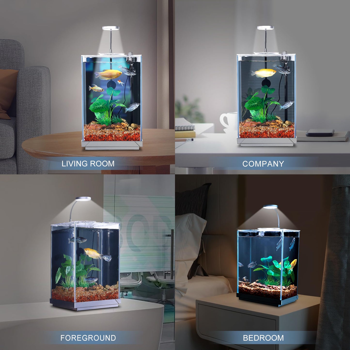 Betta Fish Tank 1.25 Gal Starter Kit
