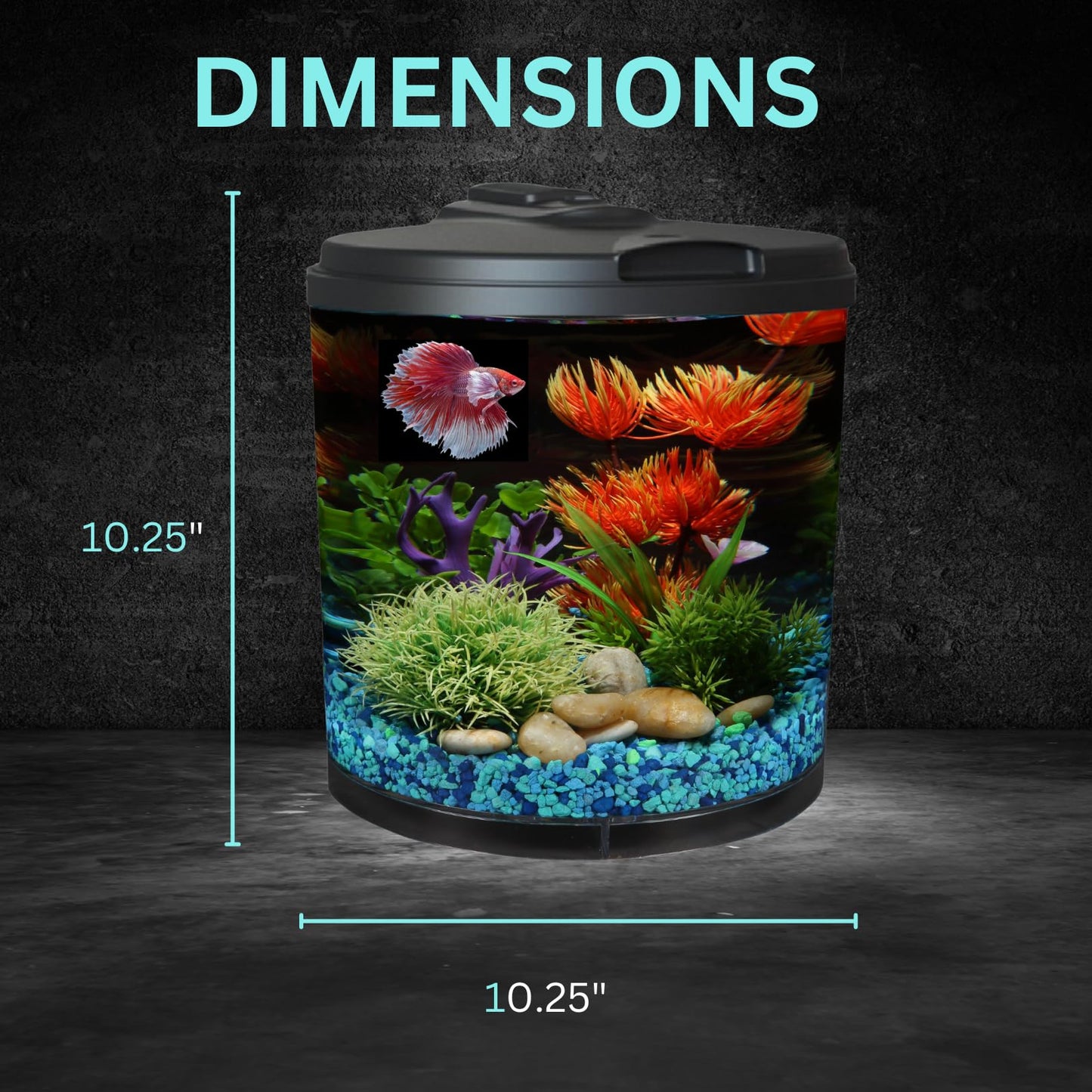 AquaView 360 6-Gal Fish Tank Kit