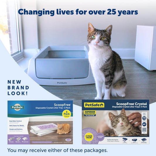 PetSafe ScoopFree Cat Litter 6-Pack