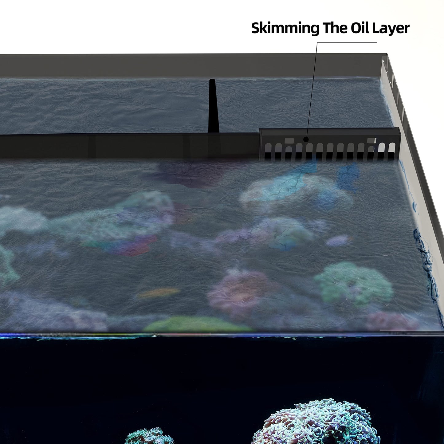 SLanden 60P Rimless Aquarium 26 Gal