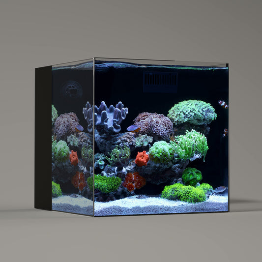 SLanden 60P Rimless Aquarium 26 Gal