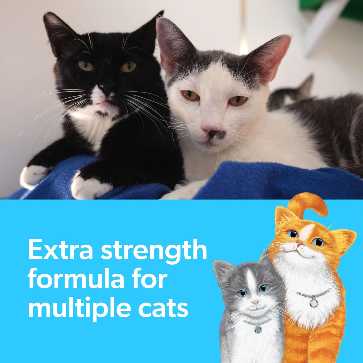 Fresh Step Multi-Cat Litter 14 lb
