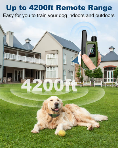 Jugbow Dog Shock Collar