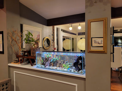 Lifegard 16-Gallon Glass Aquarium